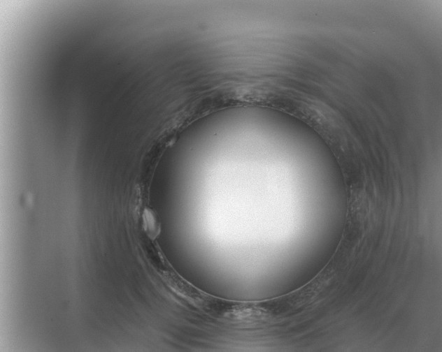 X0000069390752200605262116