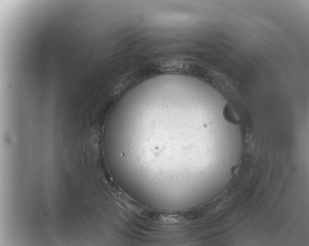 X0000069390753200605262116