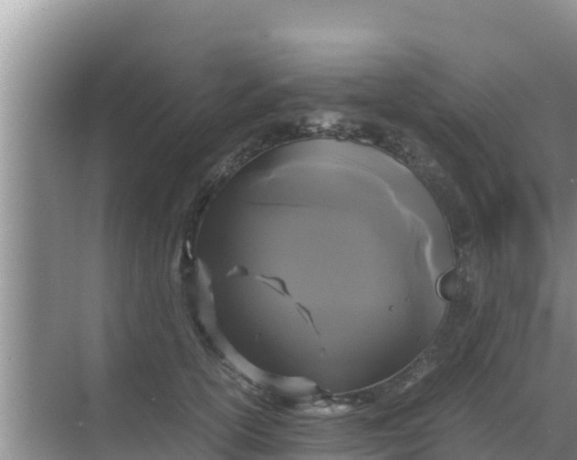 X0000069390754200605262116