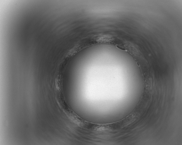 X0000069390755200605262116