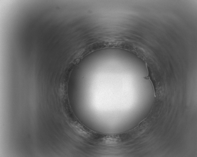 X0000069390756200605262116