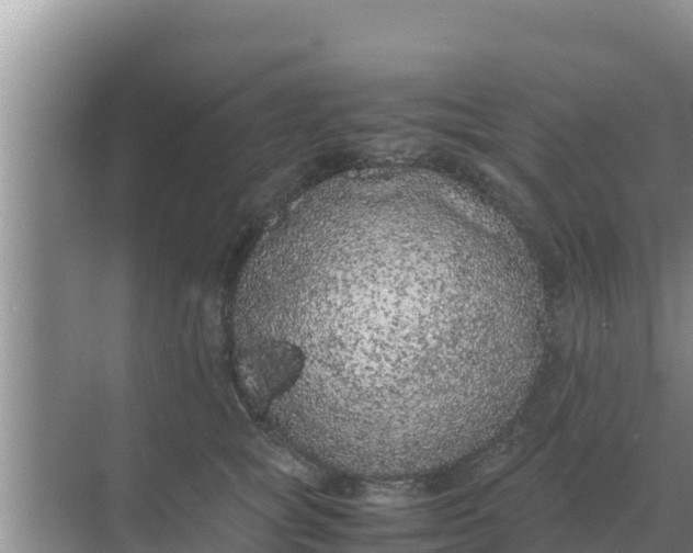 X0000069390757200605262116