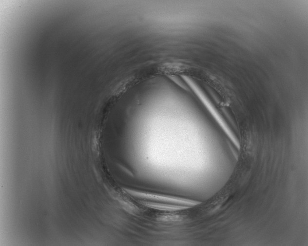 X0000069390759200605262116