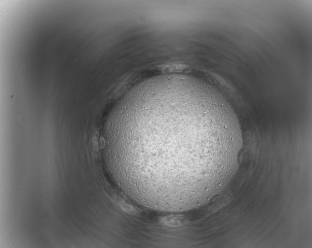 X0000069390761200605262116