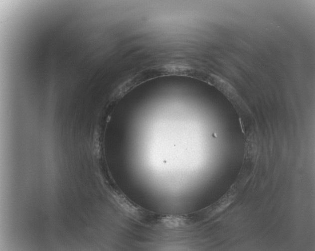 X0000069390762200605262116