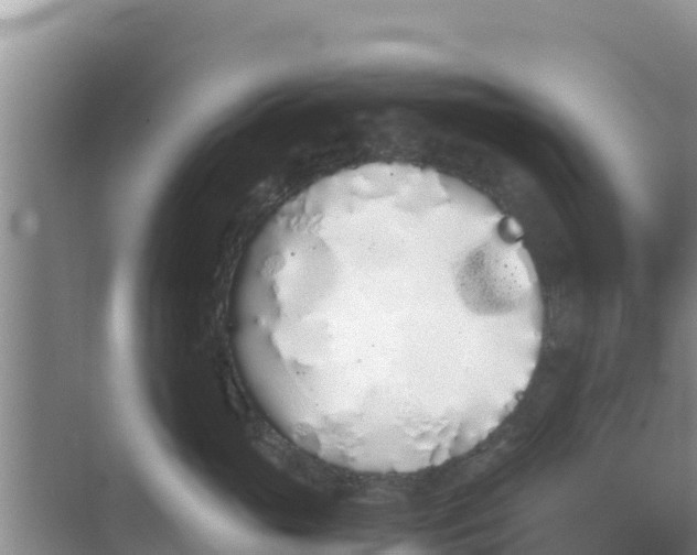 X0000069390765200605262116