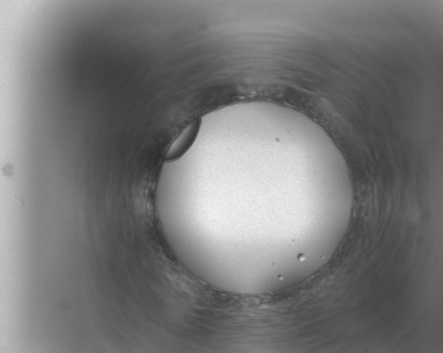 X0000069390770200605262115