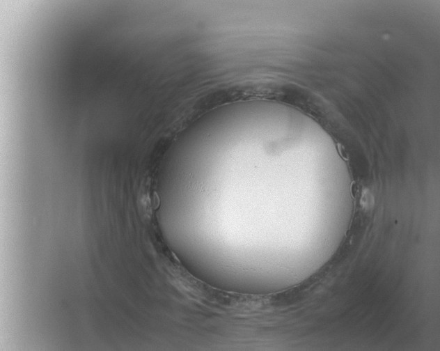 X0000069390771200605262115