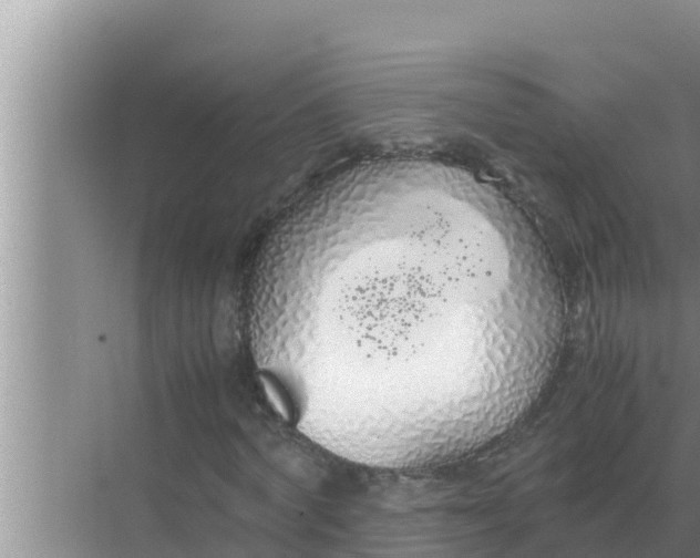 X0000069390772200605262115