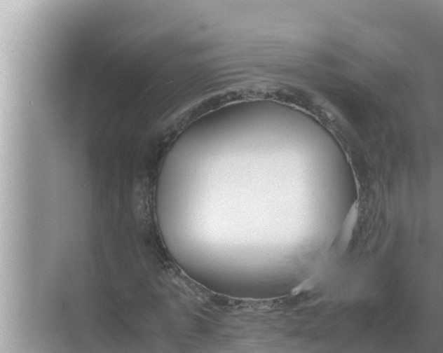 X0000069390773200605262115