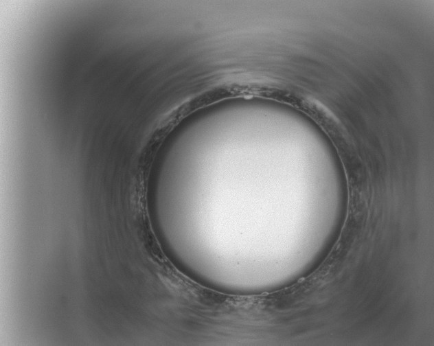 X0000069390775200605262115