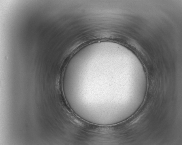 X0000069390778200605262115