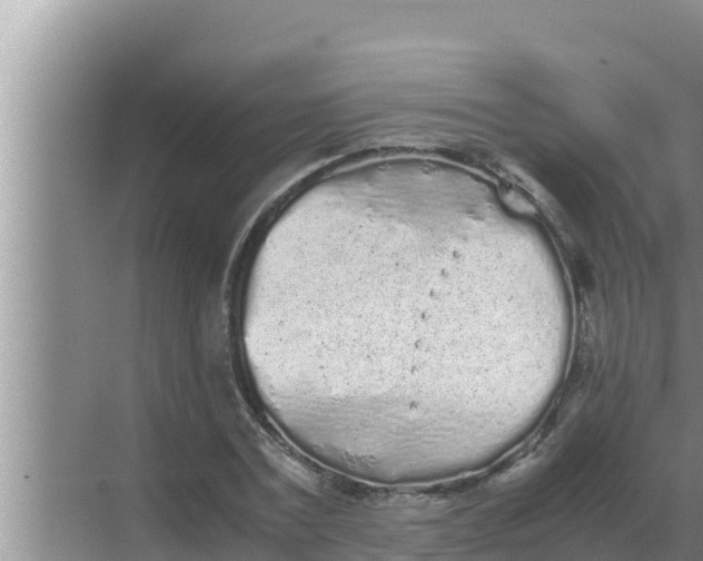 X0000069390779200605262115