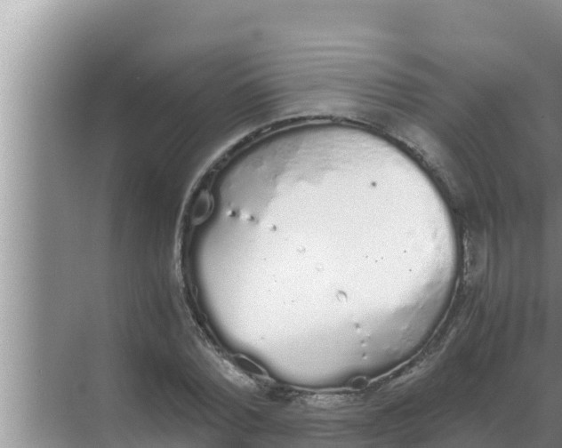 X0000069390780200605262115