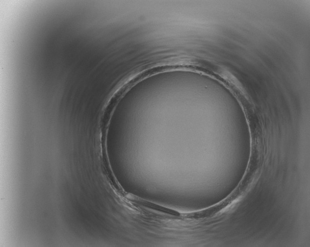 X0000069390781200605262115