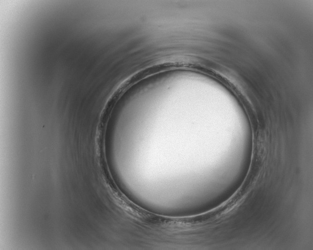 X0000069390783200605262115