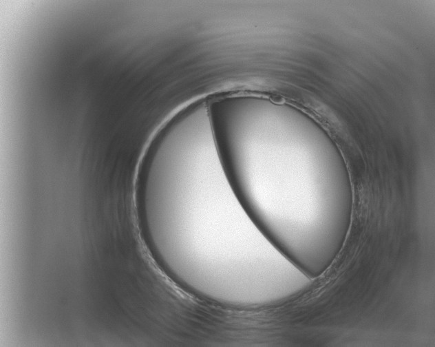 X0000069390784200605262115