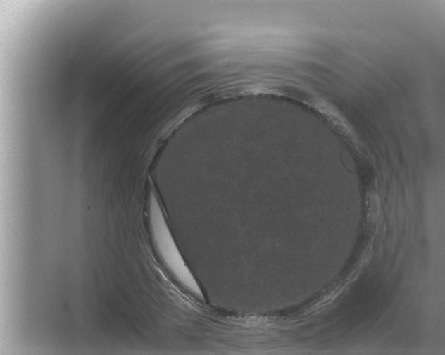 X0000069390785200605262115