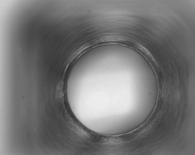 X0000069390786200605262115