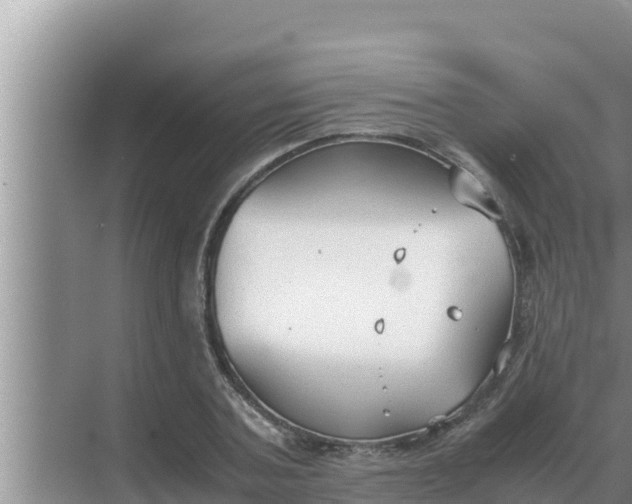 X0000069390787200605262115