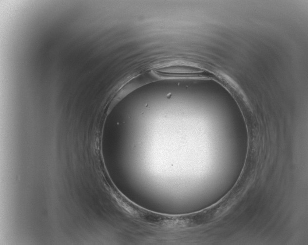 X0000069390793200605262115