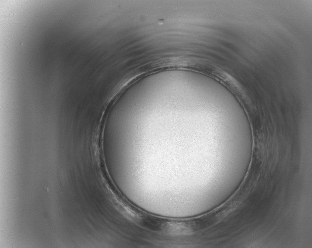 X0000069390794200605262115