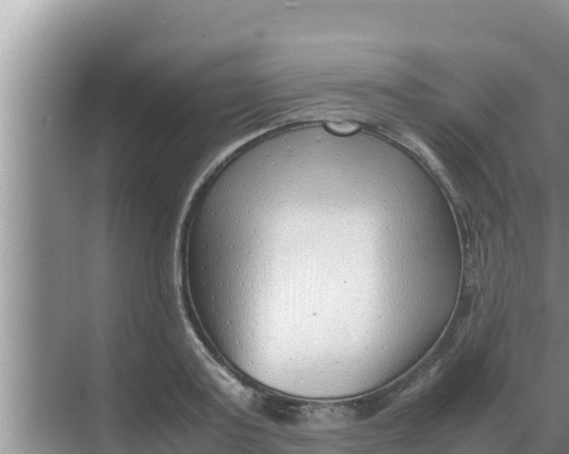 X0000069390795200605262115