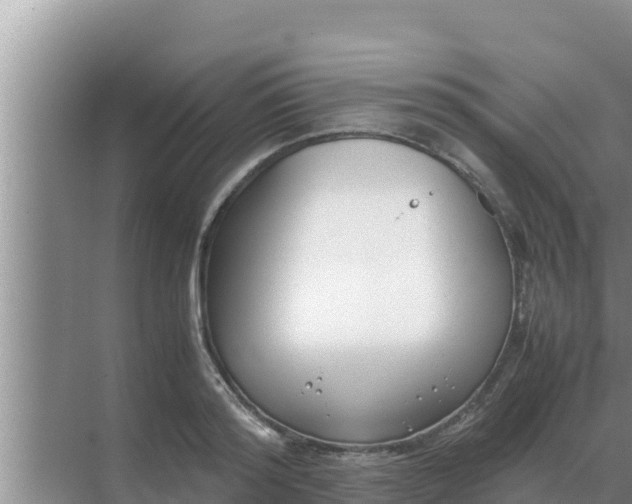 X0000069390796200605262115