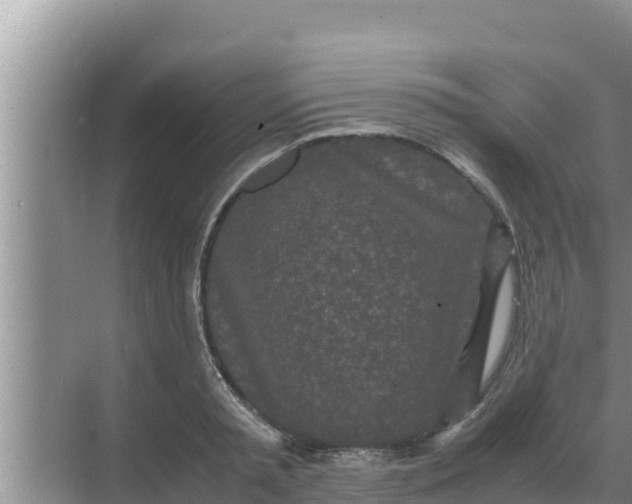 X0000069390797200605262115