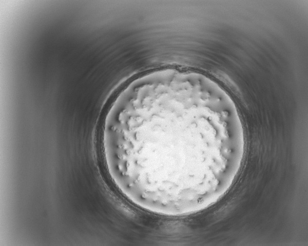 X0000069390798200605262115