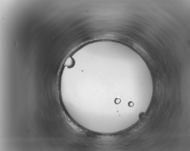 X0000069390800200605262115