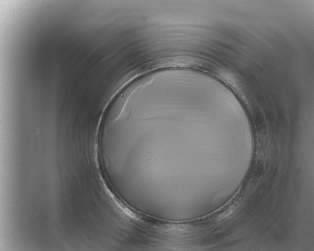 X0000069390802200605262115