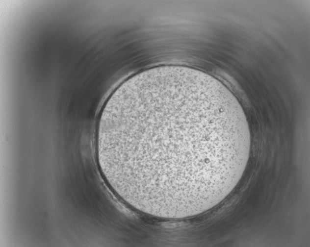 X0000069390804200605262115