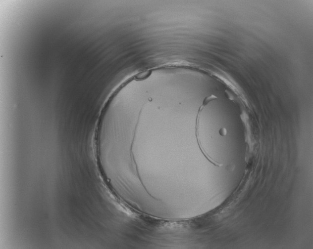 X0000069390806200605262115