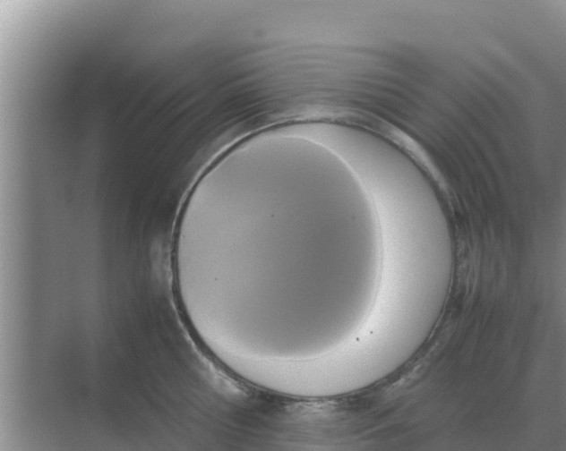 X0000069390810200605262115