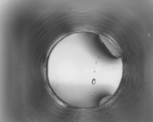 X0000069390812200605262115