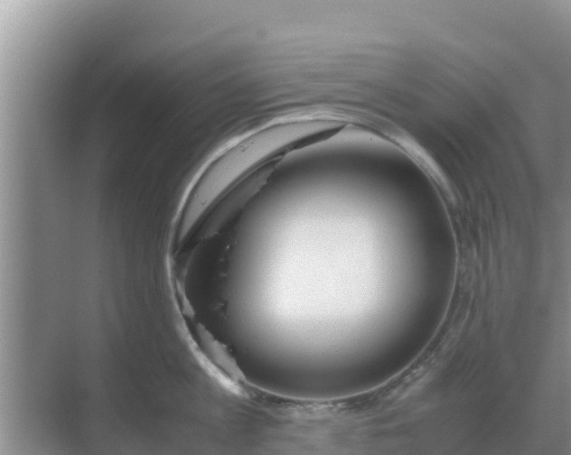 X0000069390813200605262115