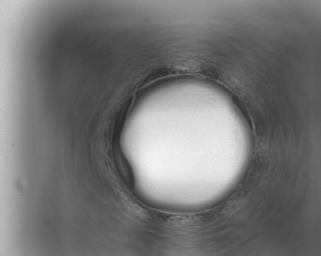 X0000069390817200605262114