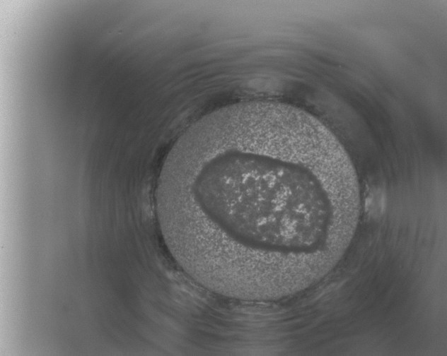 X0000069390819200605262114