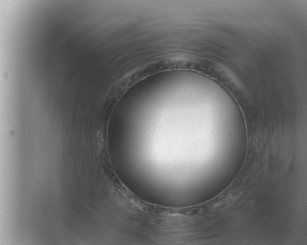 X0000069390821200605262114