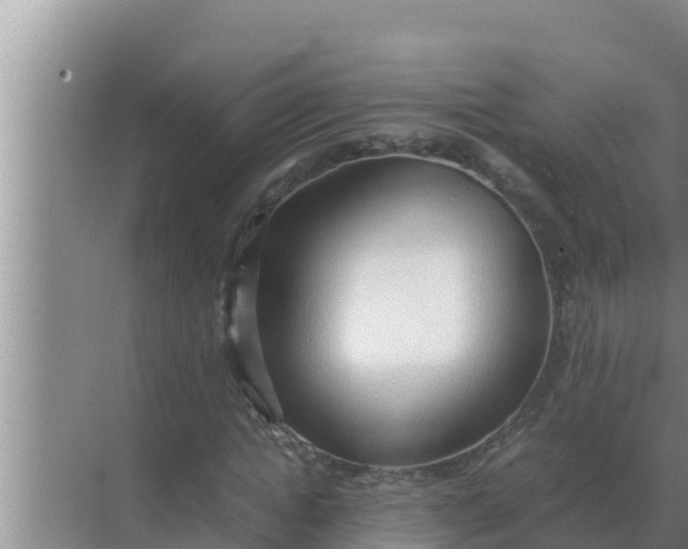 X0000069390822200605262114