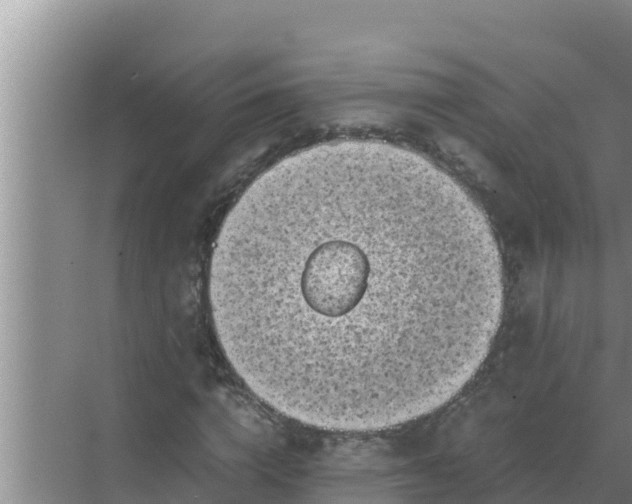 X0000069390824200605262114