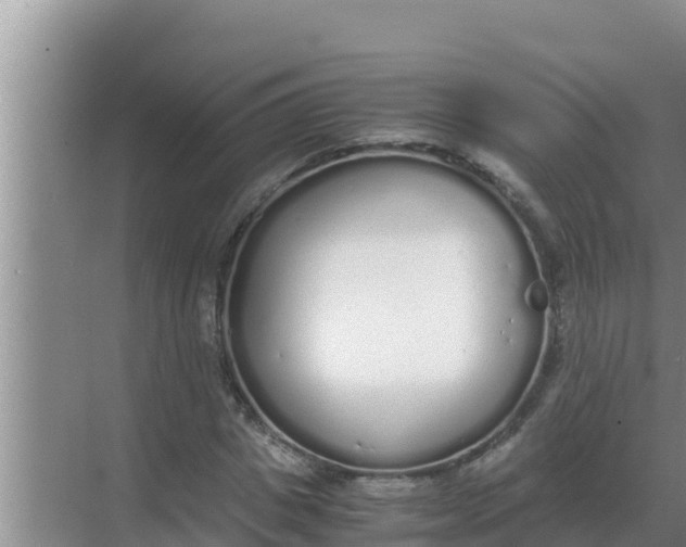 X0000069390825200605262114