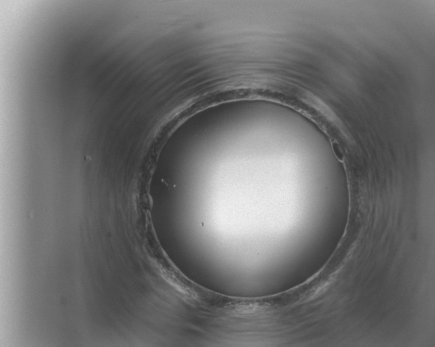 X0000069390826200605262114