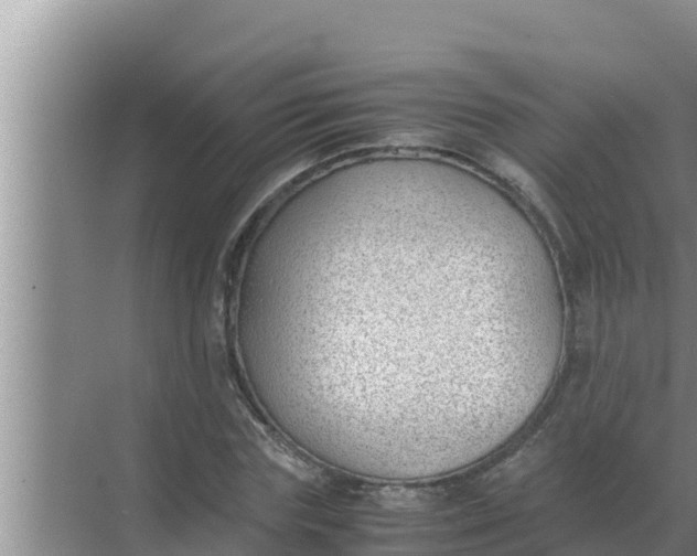 X0000069390827200605262114