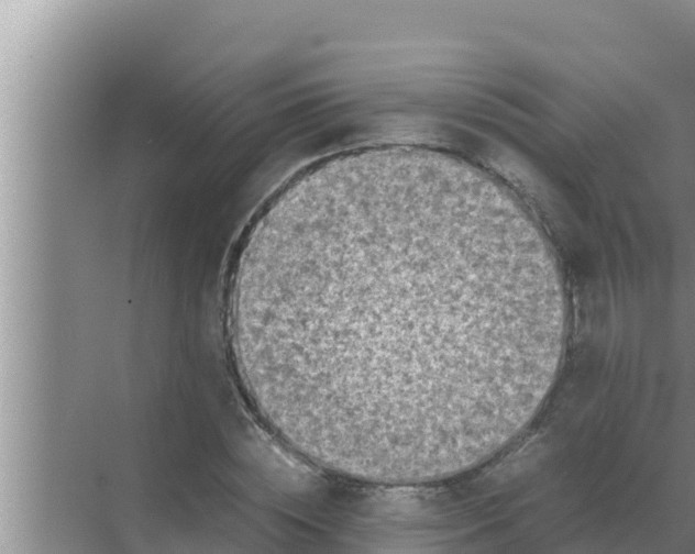 X0000069390828200605262114