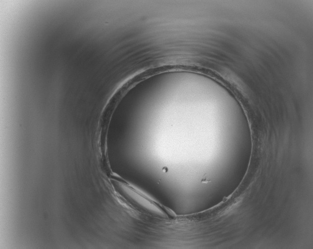 X0000069390830200605262114