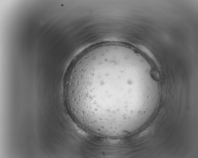 X0000069390831200605262114