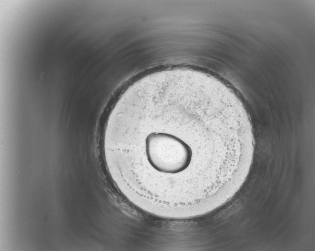 X0000069390832200605262114