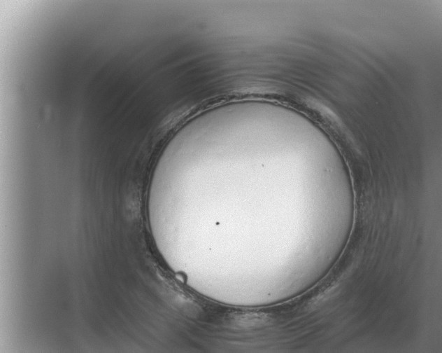 X0000069390833200605262114